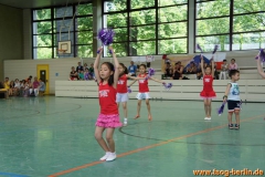 SONY DSC