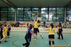 SONY DSC